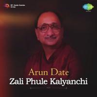 Too Ashi Javali Raha Arun Date,Sudha Malhotra Song Download Mp3