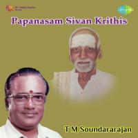 Karpaga Valliyin T.M. Soundararajan Song Download Mp3