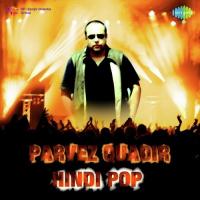 Love Is Above All Parvez Quadir Song Download Mp3