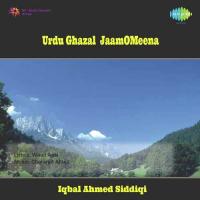 Urdu Ghazal - Jaam - O - Meena songs mp3