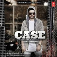 Case - The Time Continues songs mp3