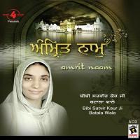 Gur Giyan Diyo Bibi Satvir Kaur Ji Song Download Mp3
