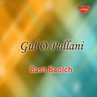 Hajir Bani Bage Basit Baolch Song Download Mp3