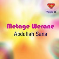 Metage Werane, Vol. 23 songs mp3