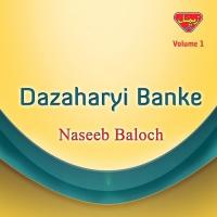 Dazaharyi Banke, Vol. 1 songs mp3