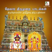Thirunelvoyil Arathurai Thiruppathigangal songs mp3