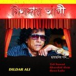Dildar Ali songs mp3