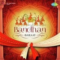 Aaya Dulha Aaya (From "Indian Babu") Kumar Sanu,Sarika Kapoor,Nirja Pandit Song Download Mp3