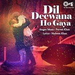 Dil Deewana Ho Gaya songs mp3