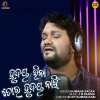 Hrudaya Hina Tora Hrudaya Nahin Humane Sagar Song Download Mp3