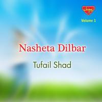 Nasheta Dilbar, Vol. 1 songs mp3