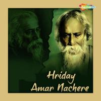 Tomari Dehe Palicho Snehe Rabindranath Tagore Song Download Mp3