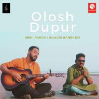 Olosh Dupur Niladri Banerjee Song Download Mp3