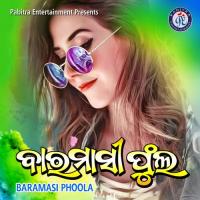 Baramasi Phoola Santanu Sahoo Song Download Mp3
