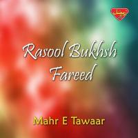 Hani Mani Gardo Rasool Bukhsh Fareed Song Download Mp3