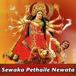 Sewaka Pethaile Newata songs mp3