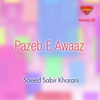 Pazeb-e-Awaaz, Vol. 22 songs mp3