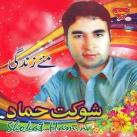 Shate-e-Goen Shokat Hammad Song Download Mp3