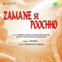 Zamane Se Poochho songs mp3