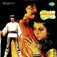 Neel Gagan Ke Panchhi Re Asha Bhosle Song Download Mp3