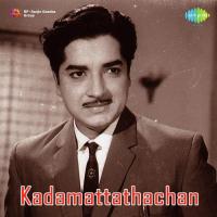 Pattiche Pattiche - Kettiyone K.P. Brahmanandan,Krishnachandran Song Download Mp3