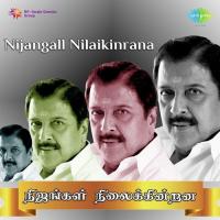 Muthangale Aayirame K.J. Yesudas Song Download Mp3