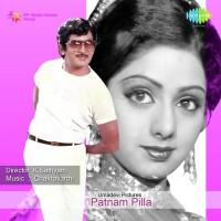Payaninche Chirugali G. Anand Song Download Mp3