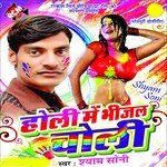 Holi Me Bhijal Choli songs mp3