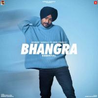 Bhangra Essential songs mp3
