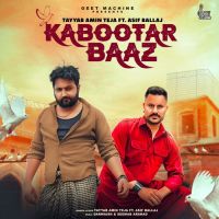 Kabootar Baaz Tayyab Amin Teja Song Download Mp3