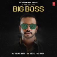 Big Boss Girik Aman,Shehzada Song Download Mp3