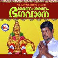 Paadanu Aristo Suresh Song Download Mp3