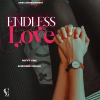 Endless Love Pavvy Virk Song Download Mp3