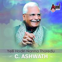 Yelli Hodiri Nanna Thoredu S. P. Balasubrahmanyam Song Download Mp3
