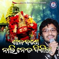 Shalabane Nali Neta Dishila Babul Supriyo Song Download Mp3