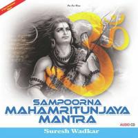 Mahamritunjaya Mantra Suresh Wadkar Song Download Mp3