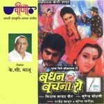 Aao Aao Mhara Ladkada Kavita Krishnamurthy Song Download Mp3