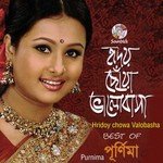 Hridoy Chowa Valobasha (Best of Purnima) songs mp3