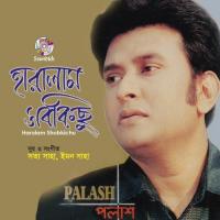 Ekdike Shara Prithibi Palash Sen Song Download Mp3