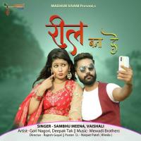 Reel Bana De Sambhu Meena,Vaishali Rajkot Song Download Mp3