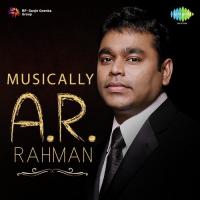 Musically A.R. Rahman songs mp3