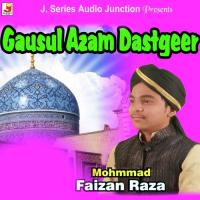 Sarkar Gause Azaam Muhammad Faizan Raza Song Download Mp3