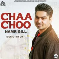 Chaa Choo Namar Gill Song Download Mp3