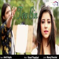 Tere Bin Amit Gupta Song Download Mp3
