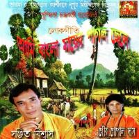 Ami Bangla Mayer Pagol Chele songs mp3