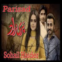 Parizad Sohail Haider Song Download Mp3