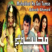 Mohabbat Ho Gai Tumse Adeeb Ahmed Song Download Mp3