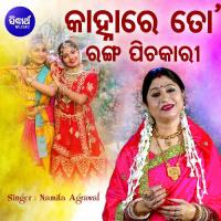 Kanha Re To Ranga Pichakari Namita Agrawal Song Download Mp3