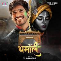 Mix Dhamaal Vishu Garg Song Download Mp3