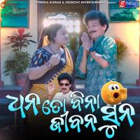 Dhana To Bina Jibana Suna Papu Pom Pom Song Download Mp3